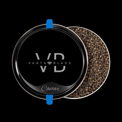  10 year Kaluga x Schrenckii