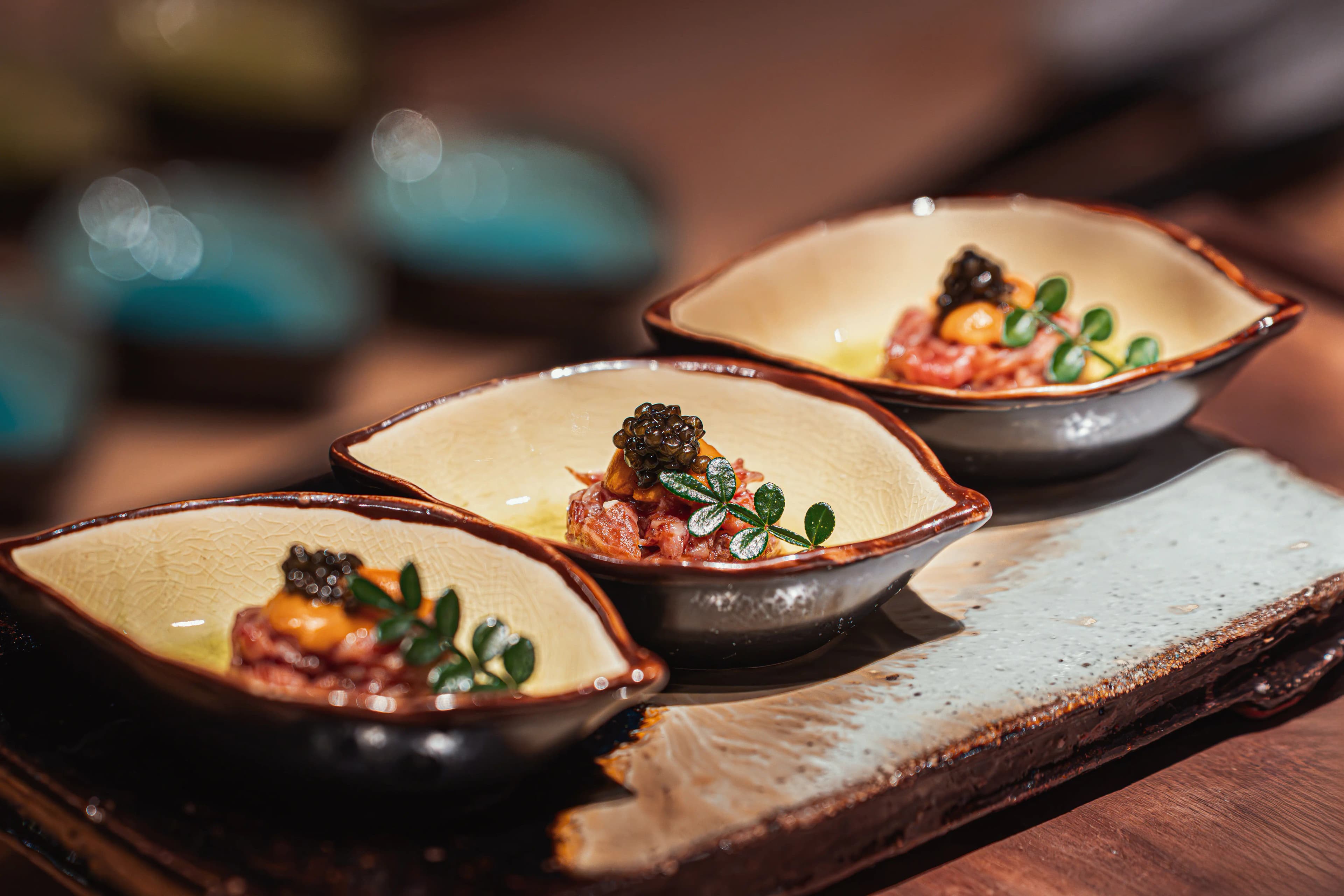 Sturgeon fish swimming in water